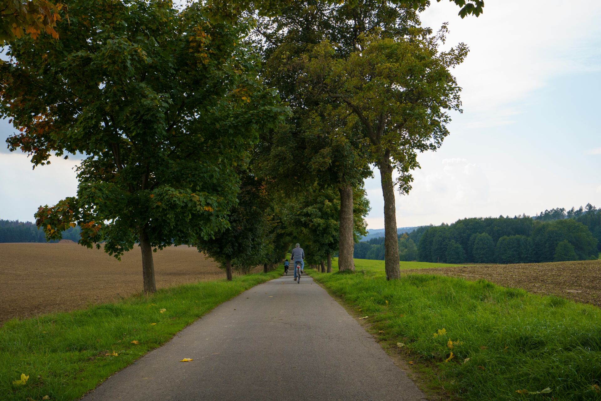 Radweg Großpostwitz