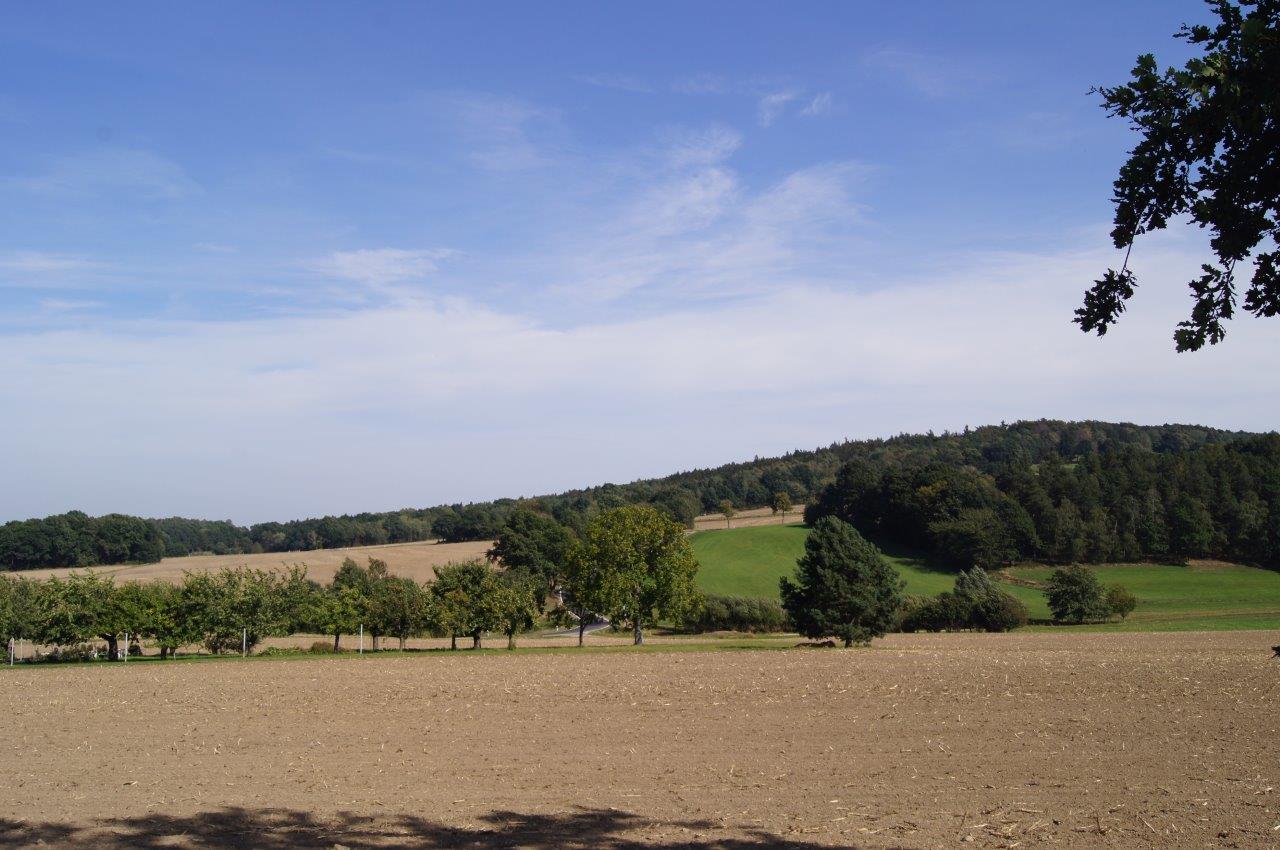 Binnewitz - Blick in die Umgebung