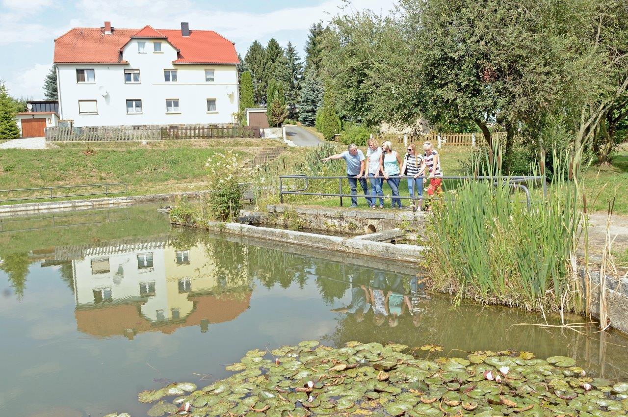 Eulowitz - Dorfteich