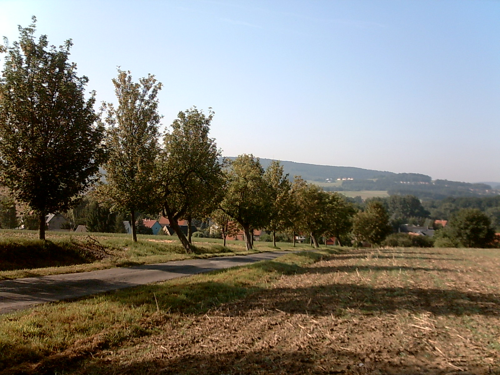 Straße von Cosul nach Eulowitz