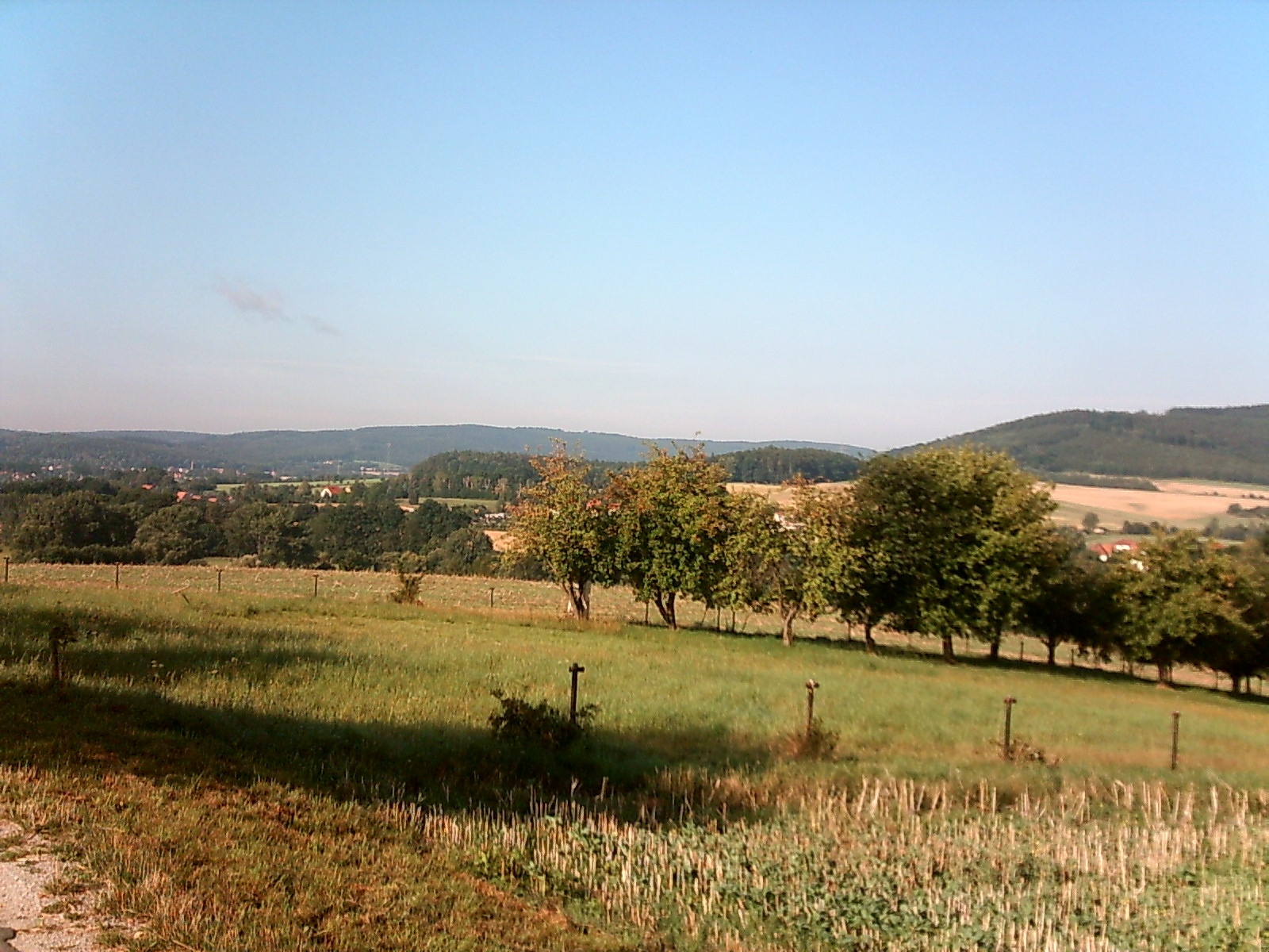 Streuobstwiese bei Eulowitz
