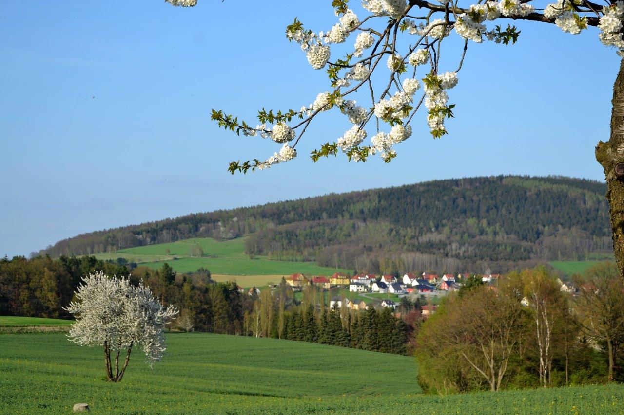 Frühlingserwachen - Grosspostwitz