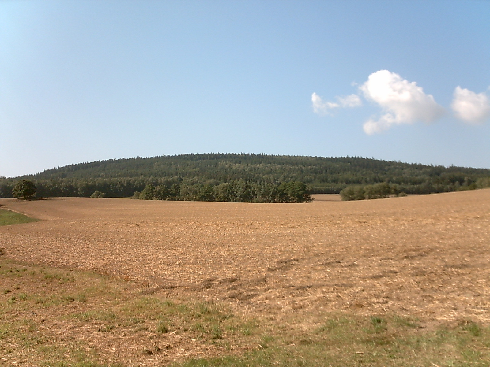 Blick von Mehltheuer auf den Drohmberg